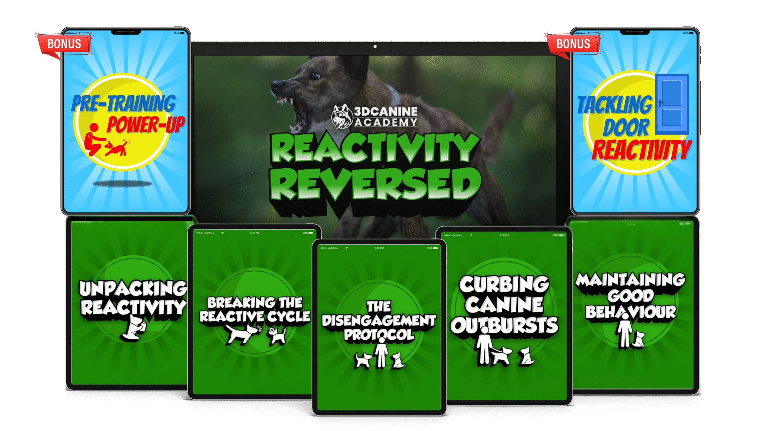 reactivity-bundle-1-scaled-1