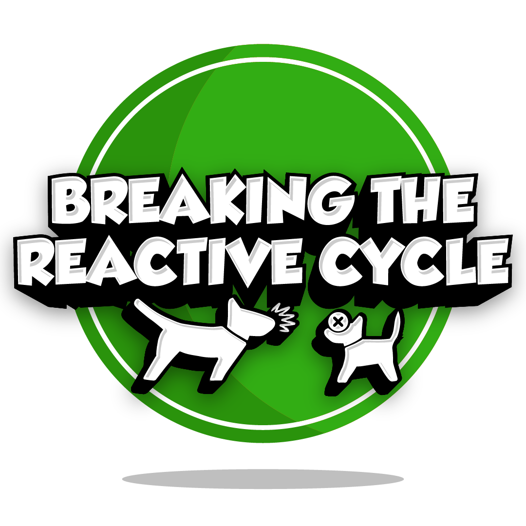 reactivity-reversed-mod-02__opdb-op666caf033872d5-74864146