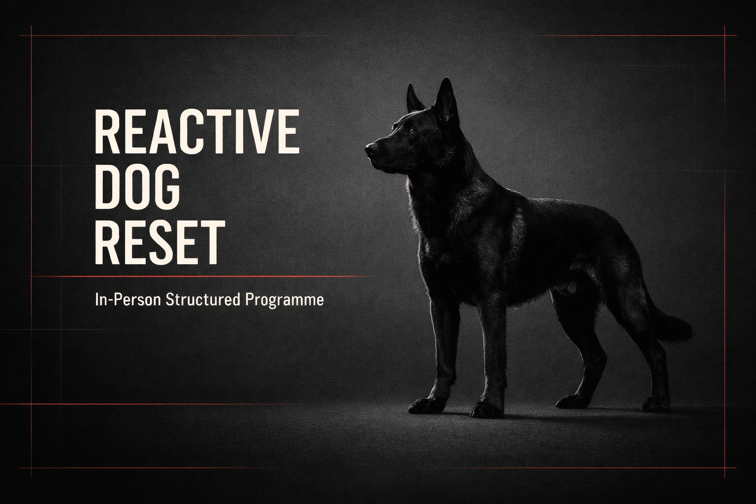 in person coaching graphic