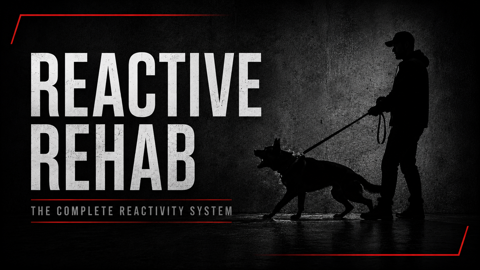reactive-rehab-graphic